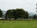 2014-0909-1730_Moffat_Dumfries_&_Galloway_16C